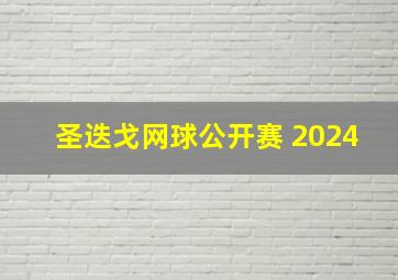 圣迭戈网球公开赛 2024